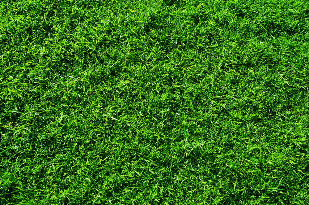 Why We Need to Break Ground