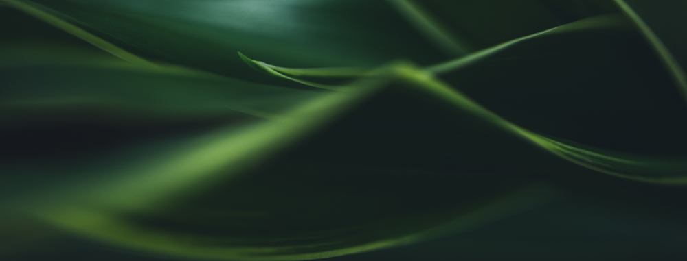 Culture and the Ship of Theseus